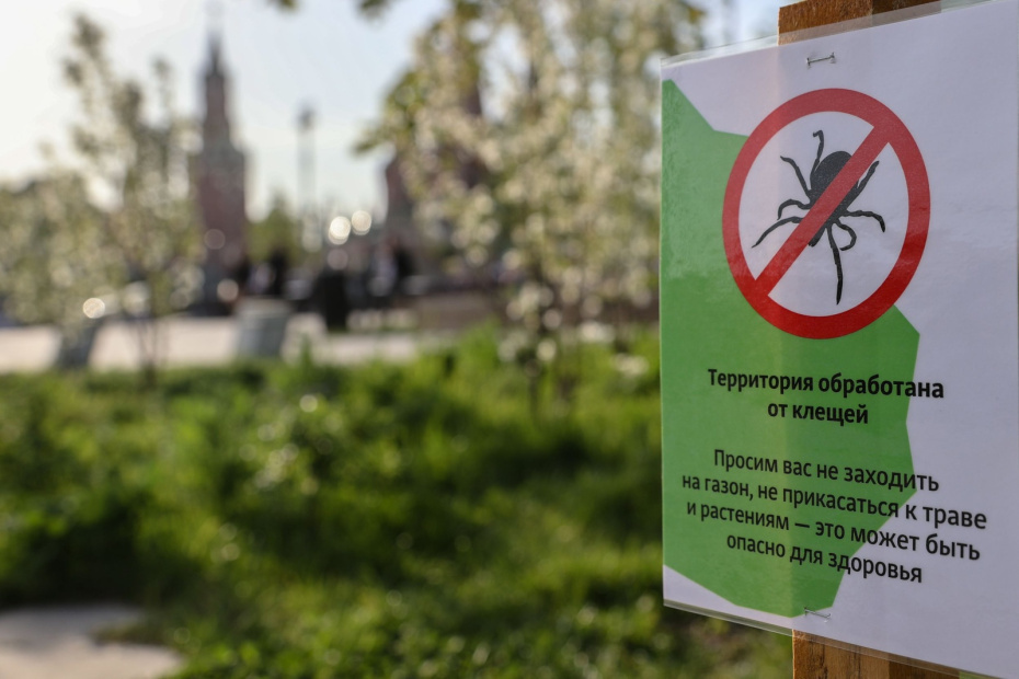    Сергей Булкин/NEWS.ru