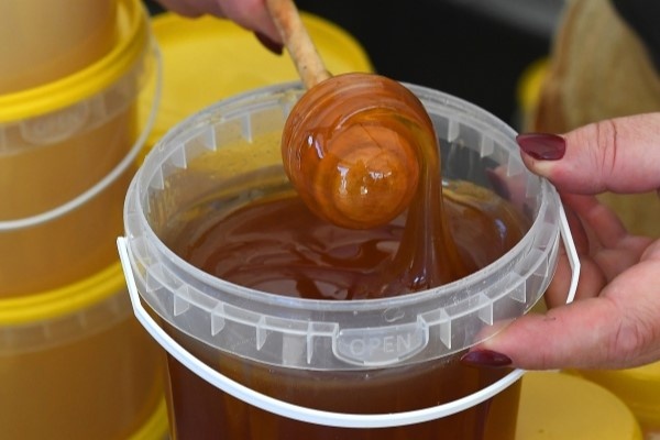 Фото: Илья Наймушин/РИА Новости