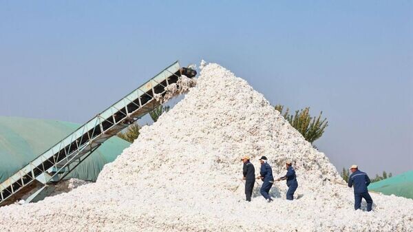   © Foto / Пресс-служба председателя Согдийской области
