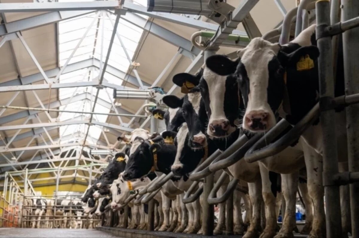    Продлён срок приёма заявок на возмещение затрат по обучению в агросфере