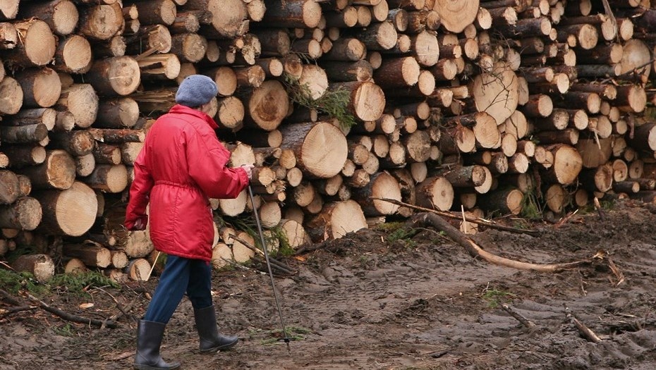Автор фото: Trend/ Андрей Федоров