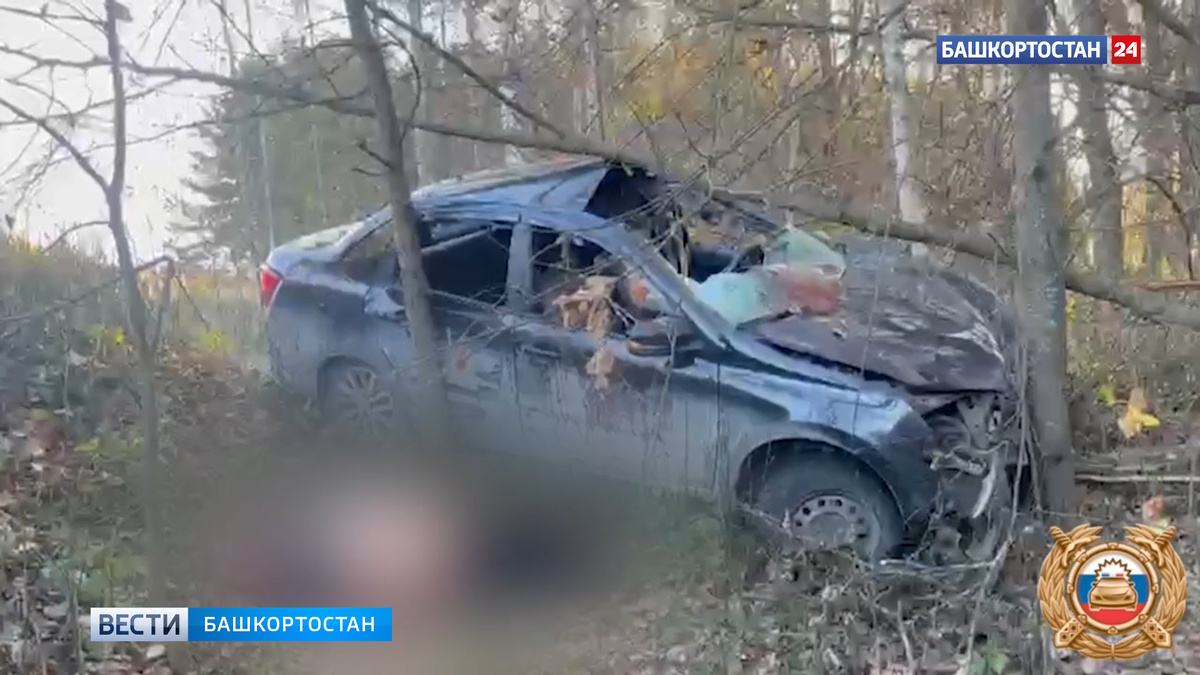    Водитель «Гранты» погиб после столкновения с лосем в Башкортостане: животное тоже погибло