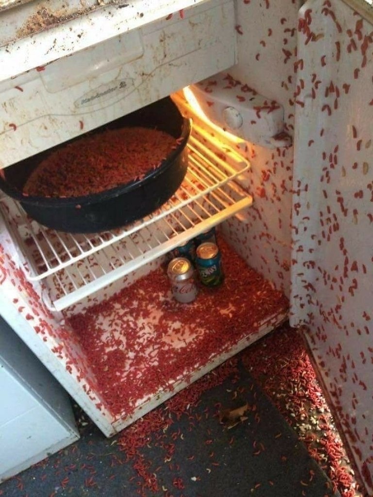 А бывает и вот так. Нам ещё повезло, значит.