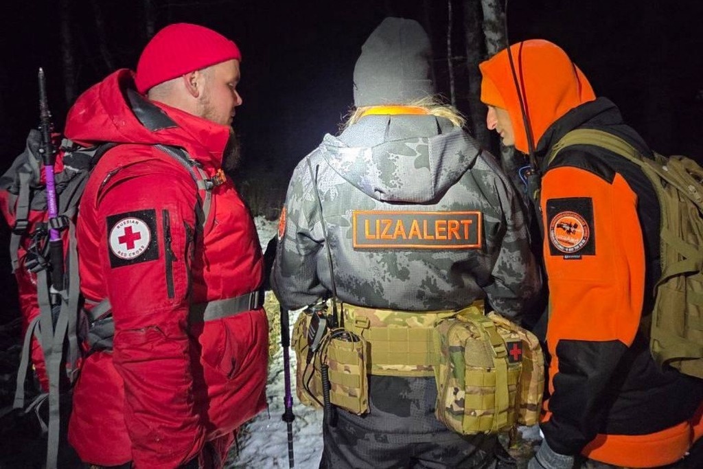    Фото © VK / Поисковый отряд «ЛизаАлерт» Красноярского края