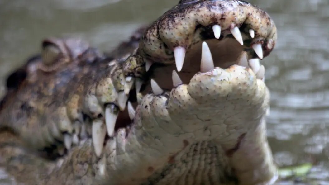    Фото: M. Henning via www.imago-images./Globallookpress