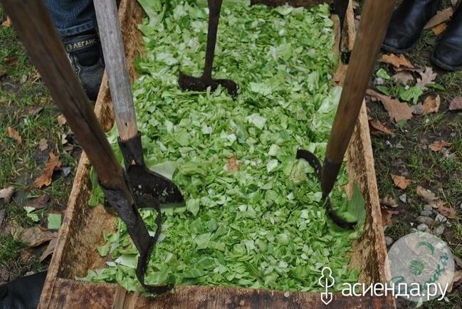 Вот такой красивый цвет должен быть. 