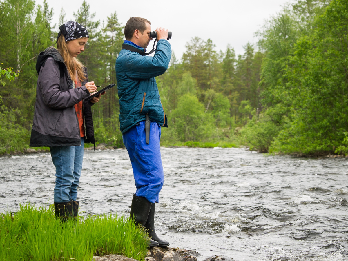 Полевые работы в заповеднике «Пасвик»