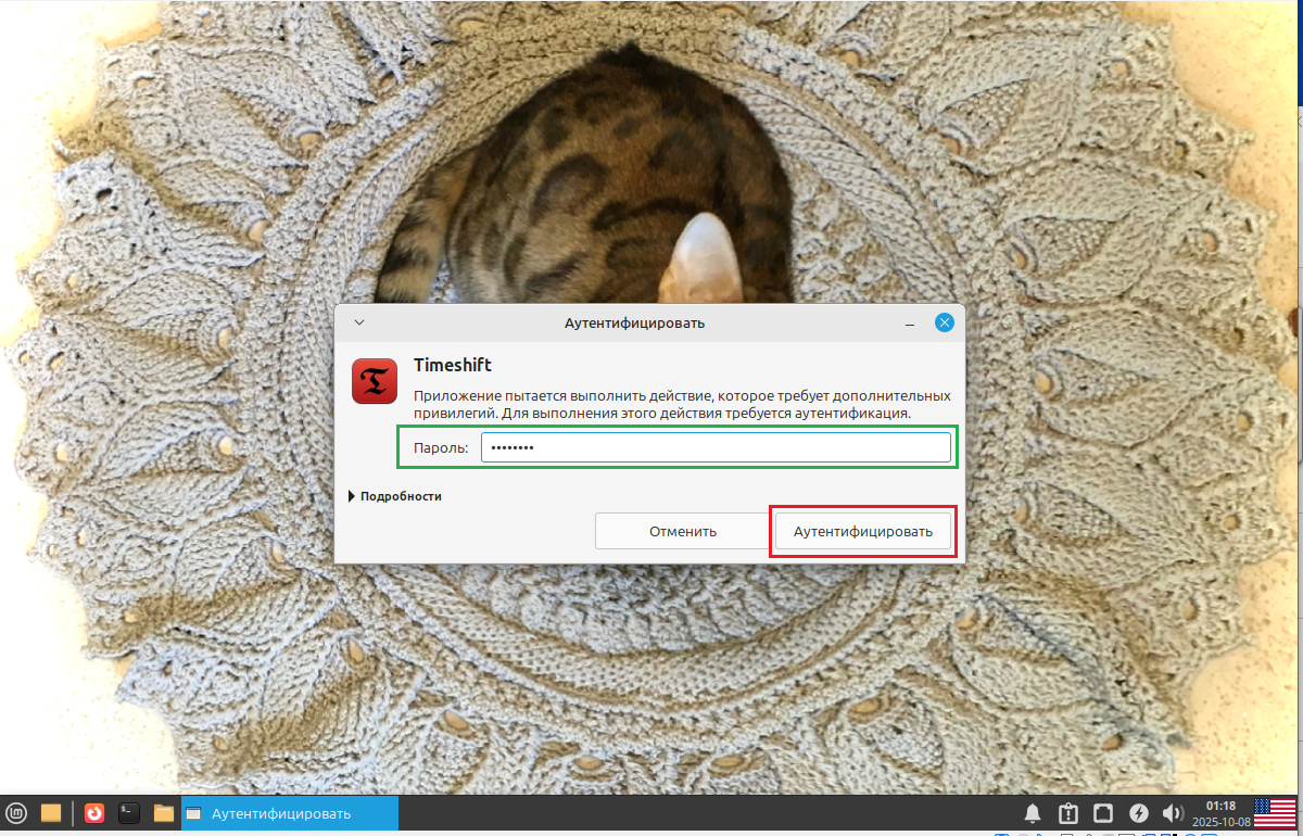 Чтобы открыть Timeshif нужно ввести пароль от своей учетной записи пользователя