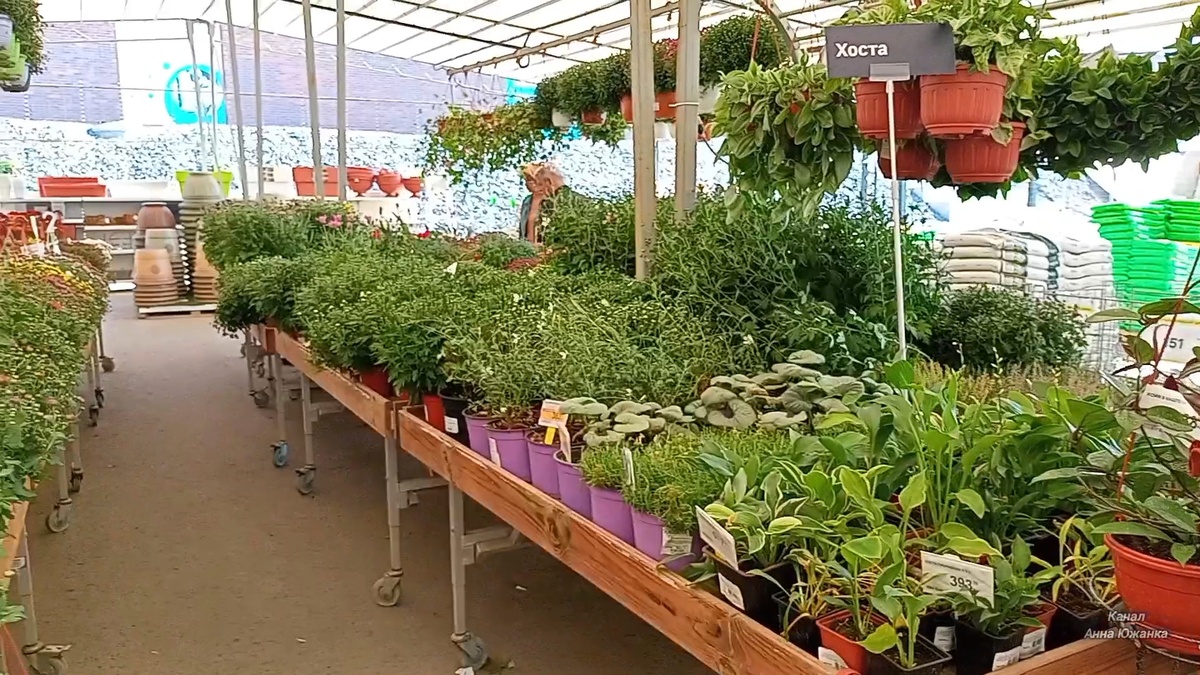 Строительный гипермаркет Лемана ПРО, город Ростов-на-Дону. Фото автора.