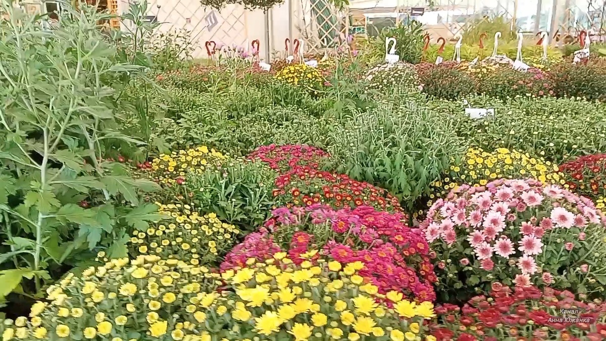 Гипермаркет стройматериалов Лемана ПРО, город Ростов-на-Дону.