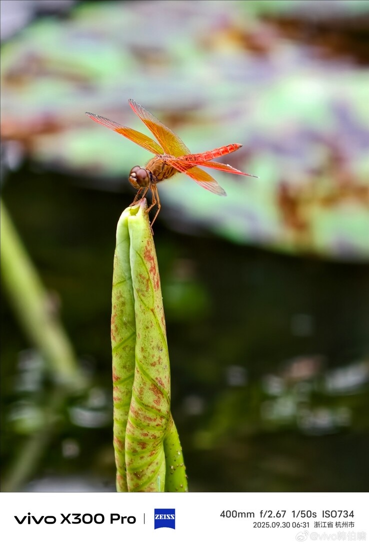    Vivo X300 Pro с внешним телевиком показали «вживую» до премьеры