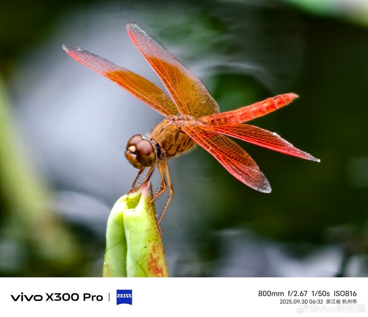    Vivo X300 Pro с внешним телевиком показали «вживую» до премьеры