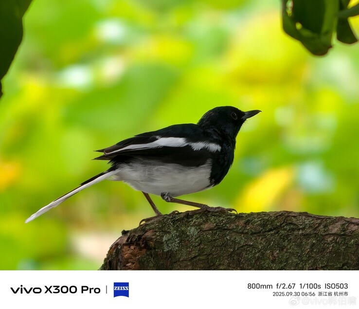    Vivo X300 Pro с внешним телевиком показали «вживую» до премьеры