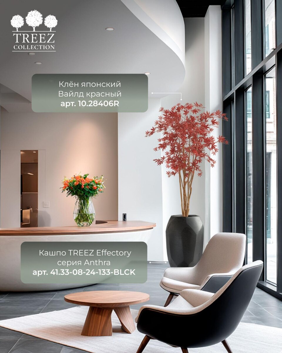 Кашпо и растения TREEZ Collection