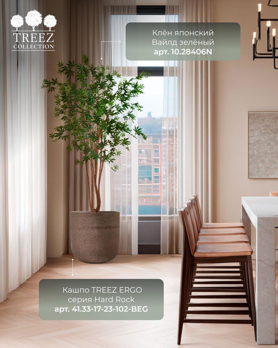 Кашпо и растения TREEZ Collection