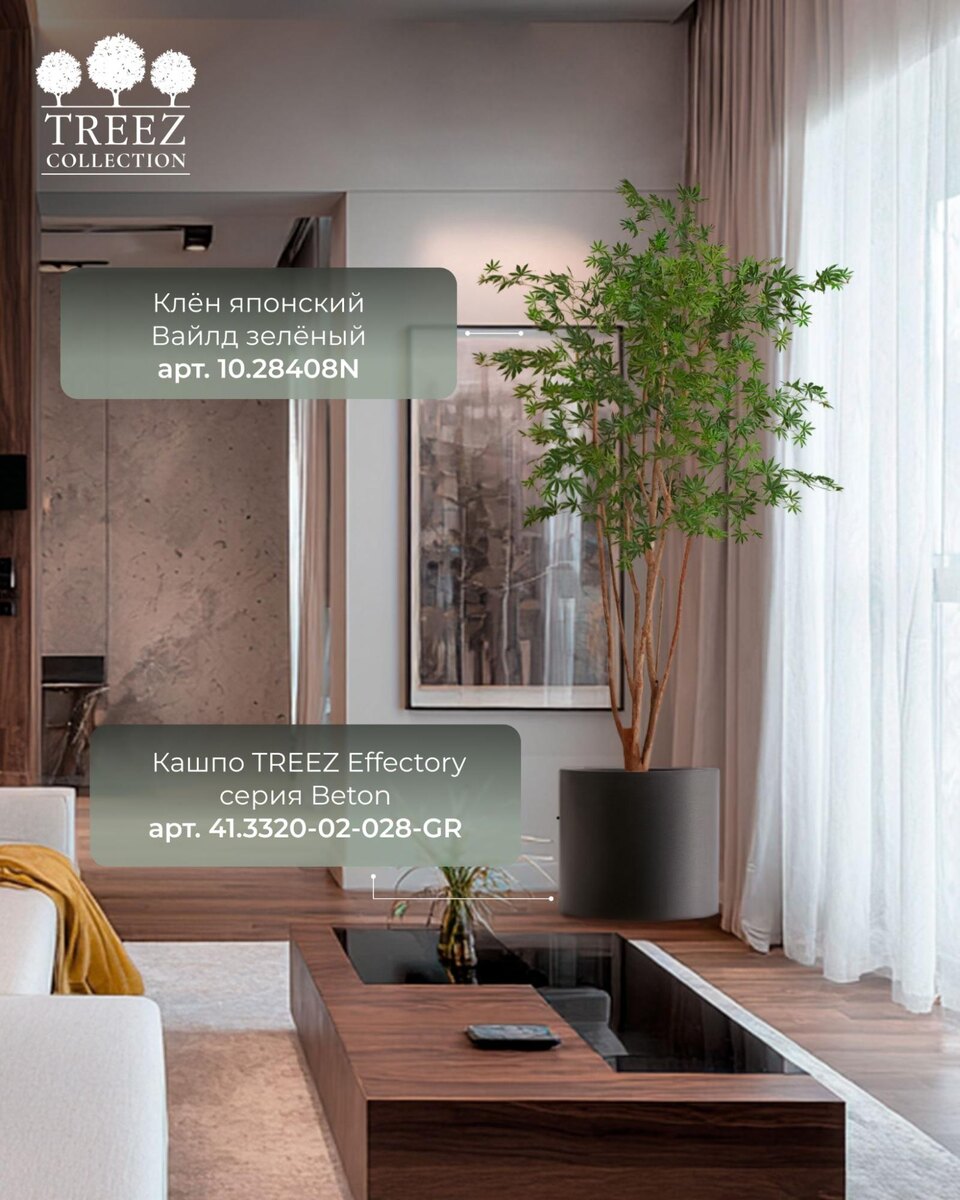 Кашпо и растения TREEZ Collection