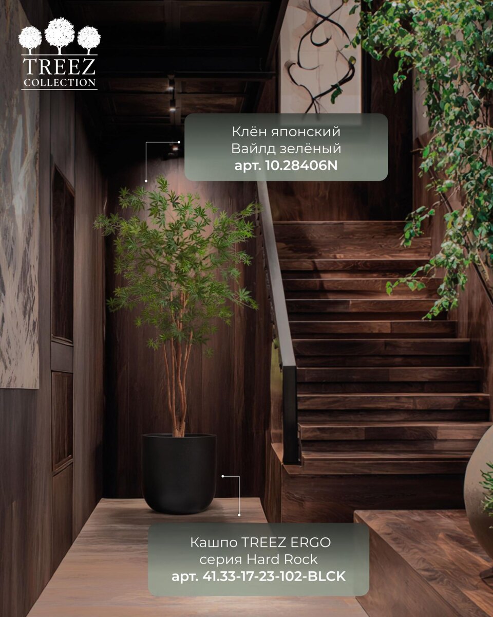 Кашпо и растения TREEZ Collection