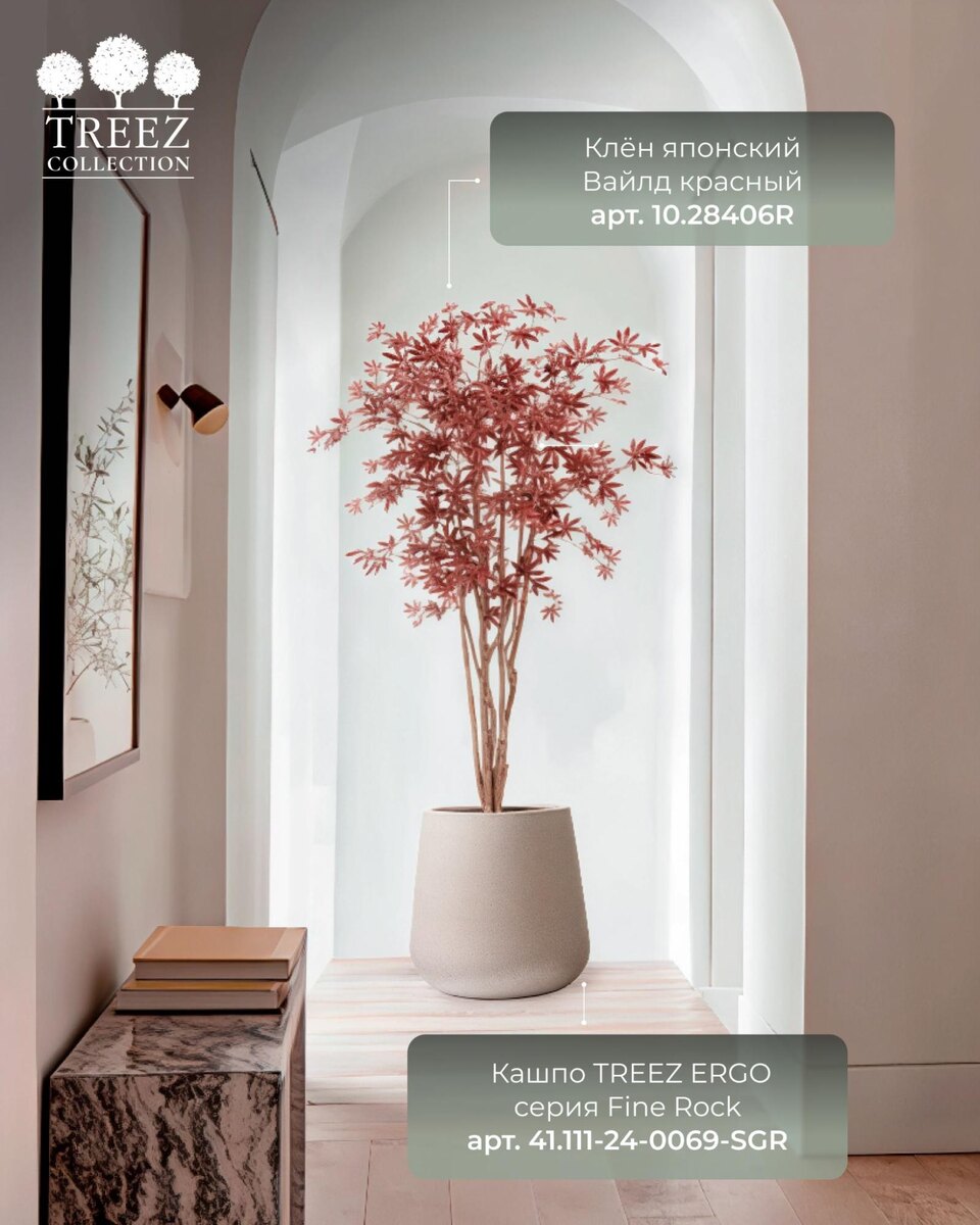 Кашпо и растения TREEZ Collection