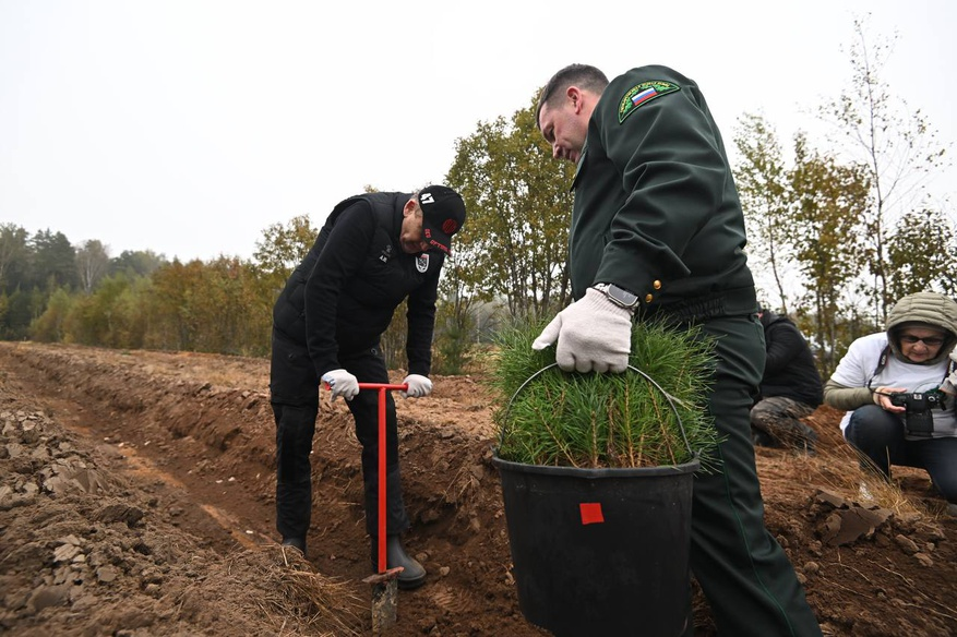 Какие-то мужики сажают деревья. И их почему-то со всех сторон снимают фотографы....А - так это начальство! Фотографий простых граждан, сажающих деревья, на сайте Ленобласти нее нашлось фото https://lenobl.ru/ru/dlya-smi/photo/7700/