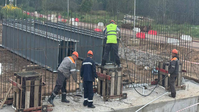 Фото: Dorogi_lo/telegram