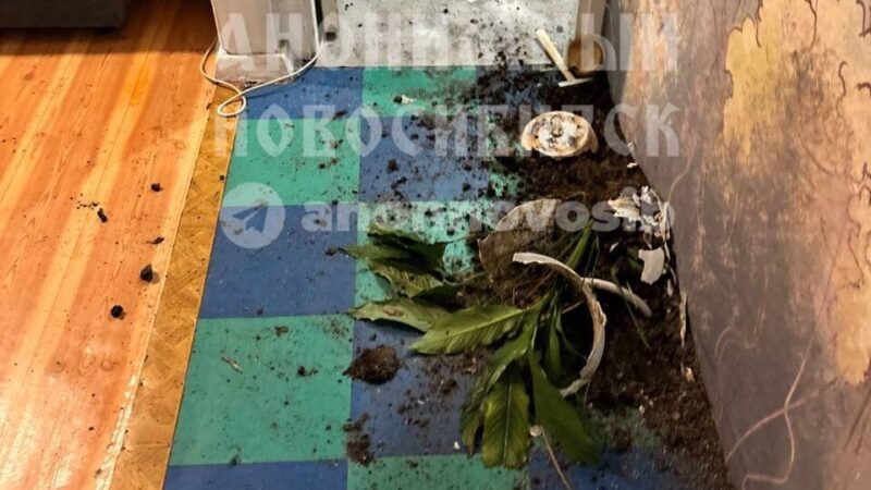    Фото: ТГ-канал "Анонимный Новосибирск"