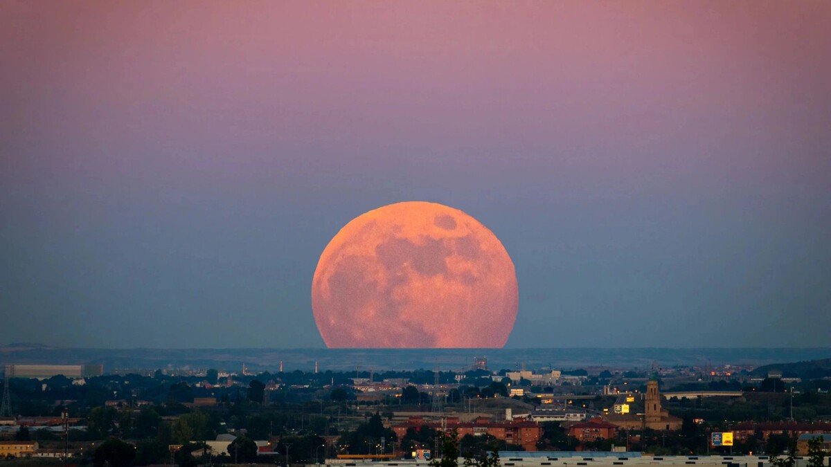    Фото: Ivan Morato photography/Shutterstock/Fotodom