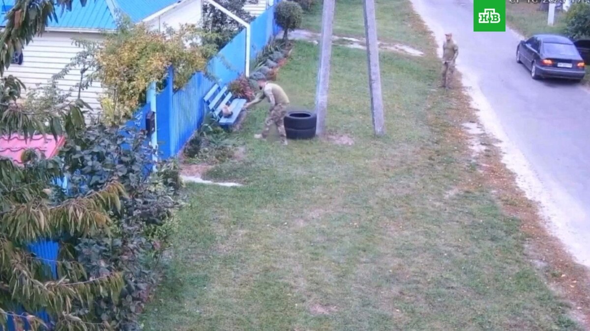    Украинские военкомы «мобилизовали» кота и попали на видео