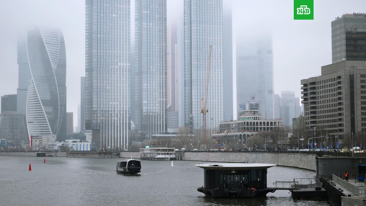    Фото: РИА Новости © 2025, Григорий Сысоев