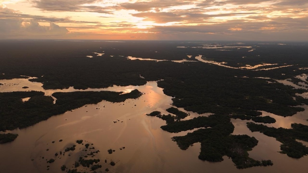 Робусты Амазонии