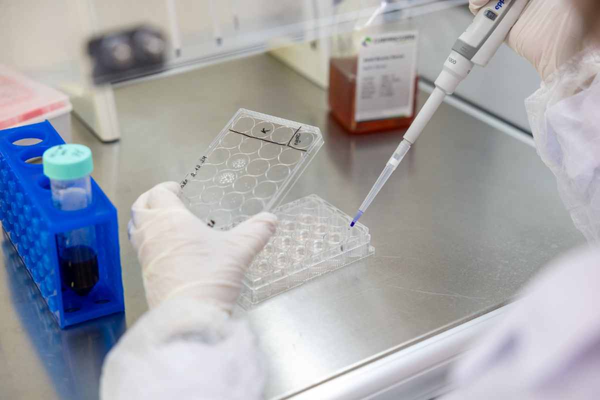 Клиническая трансляция — путь от научного открытия до внедрения изобретения в медицинскую практику.