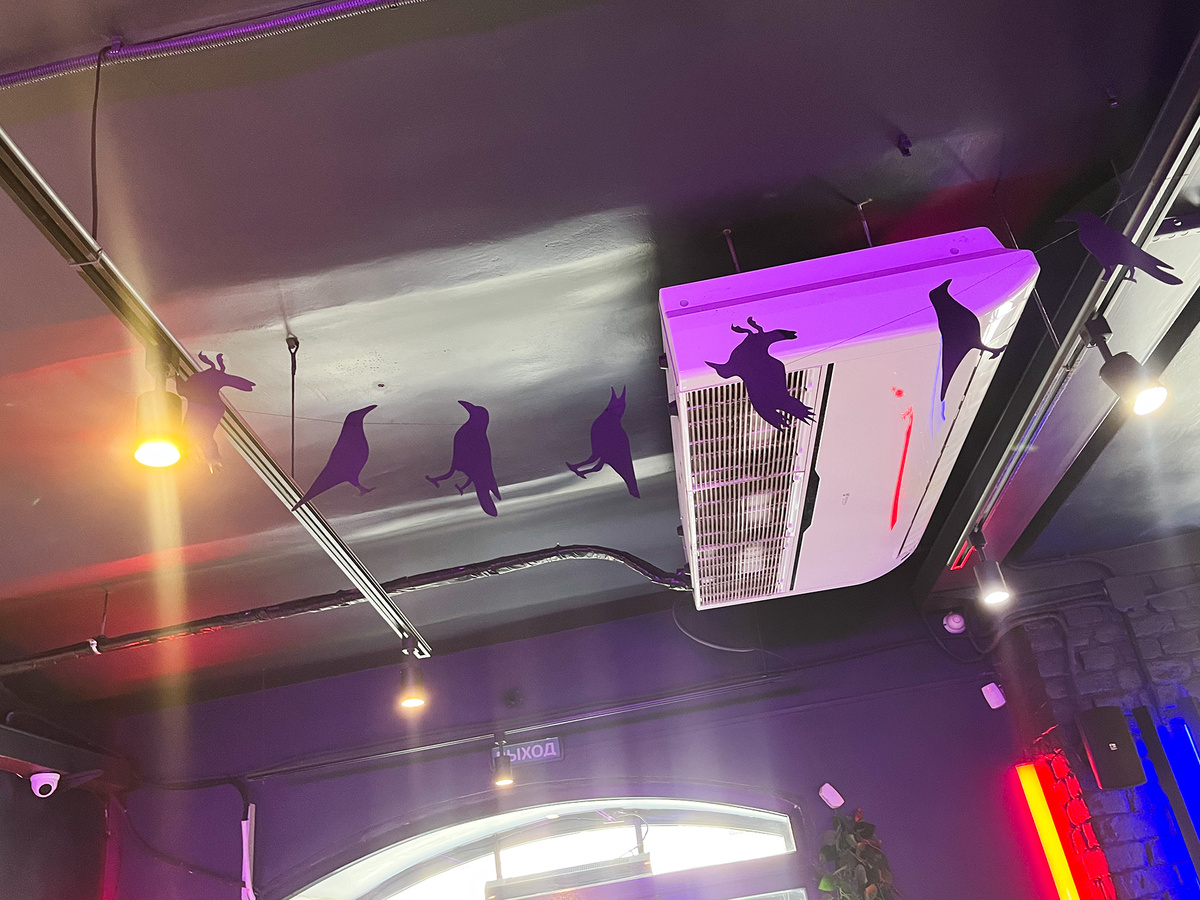 Картонные птицы под потолком →