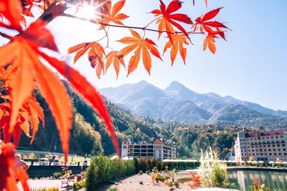 Фото: nvgazeta.ru