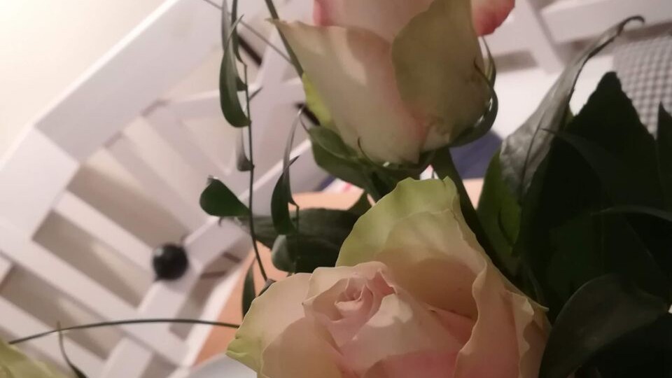 Новый год жизни