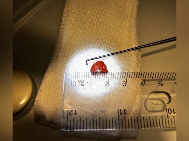    Фото: mz.mosreg.ru