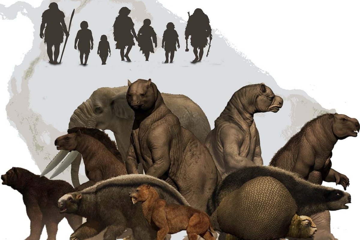    Фото: Luciano Prates et al./Science Advances