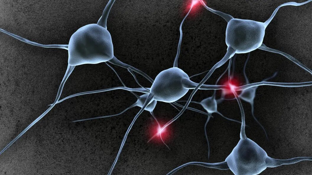    Фото: Simone Brandt/imageBROKER.com/Globallookpress