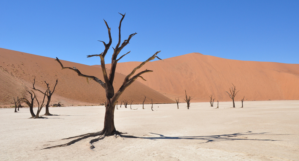 Ученые нашли точное место происхождения человечества