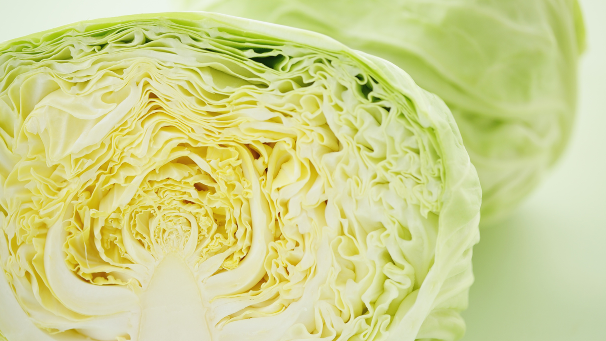  Белокочанная капуста