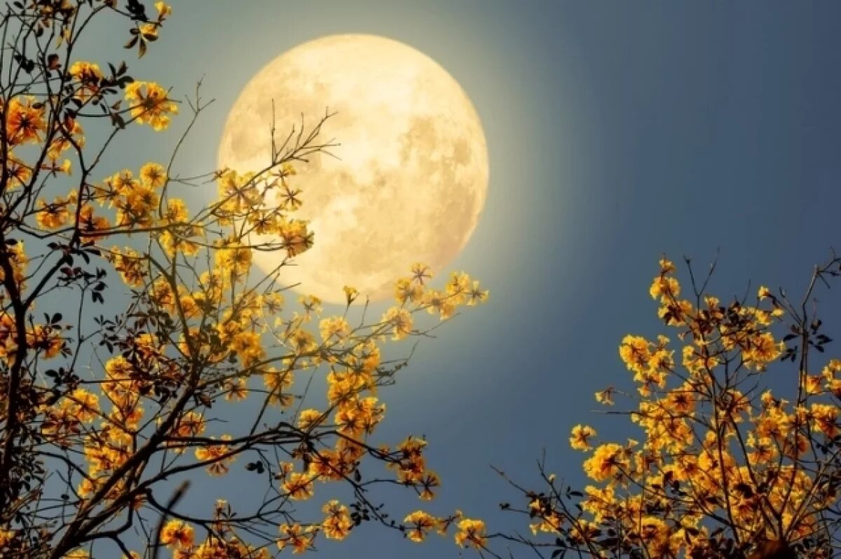    Суперлуние 7 октября можно будет наблюдать в Иркутске