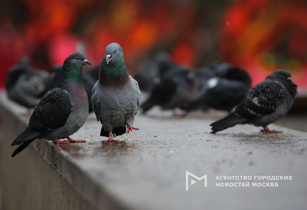 Фотограф: Софья Сандурская

