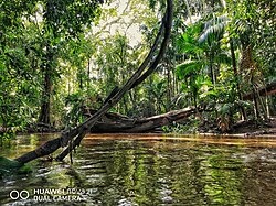 Река на Шри-Ланке