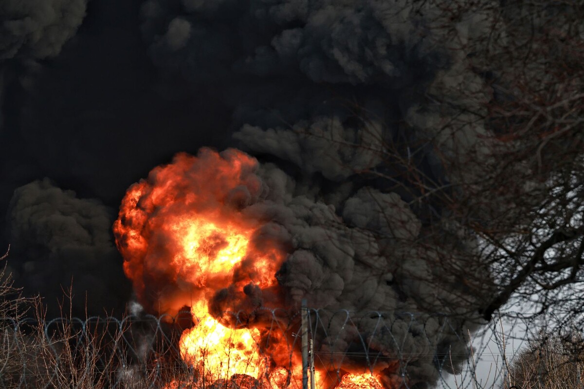     / Источник: © Global Look Press