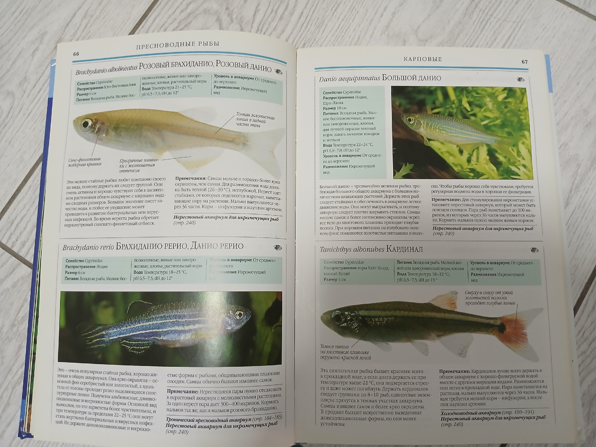 Страница книги