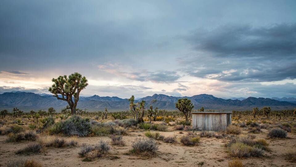     Тело женщины в огромной картонной коробке нашли в пустыне РЕН ТВ