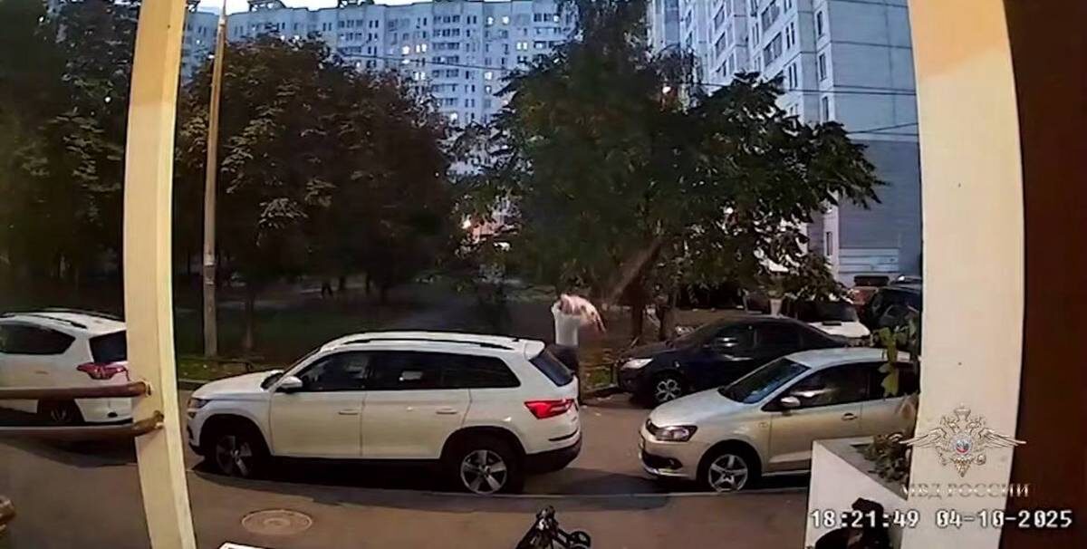    Фото: скриншот с видео / Ирина Волк / Telegram