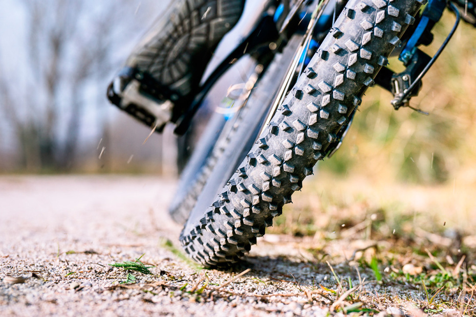    Shutterstock/FOTODOM