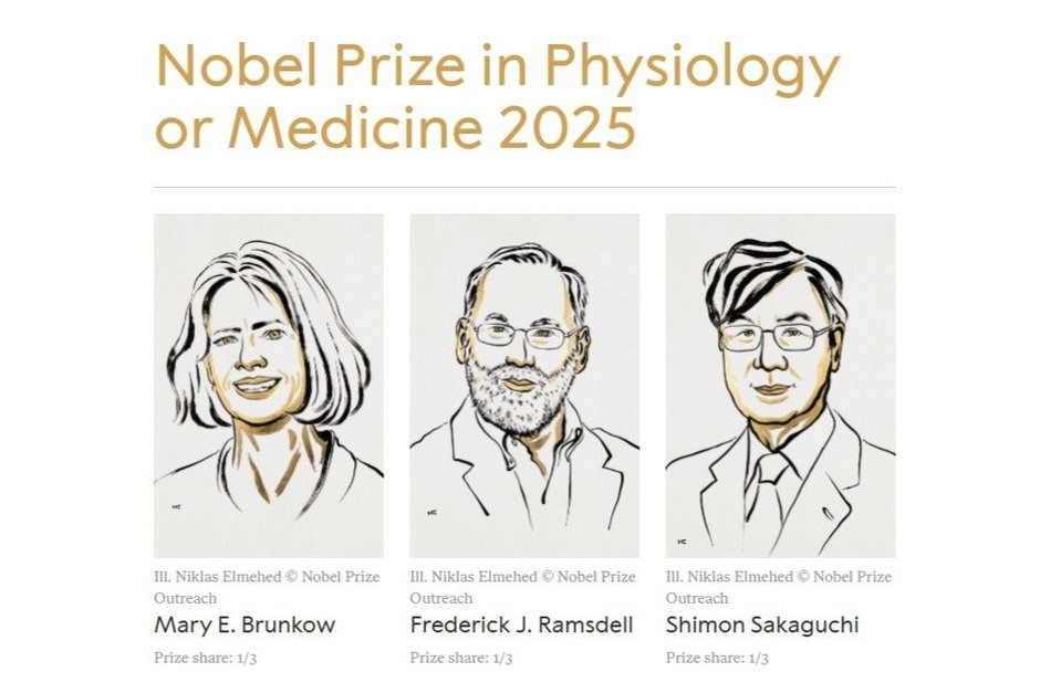   взято с сайта nobelprize.org