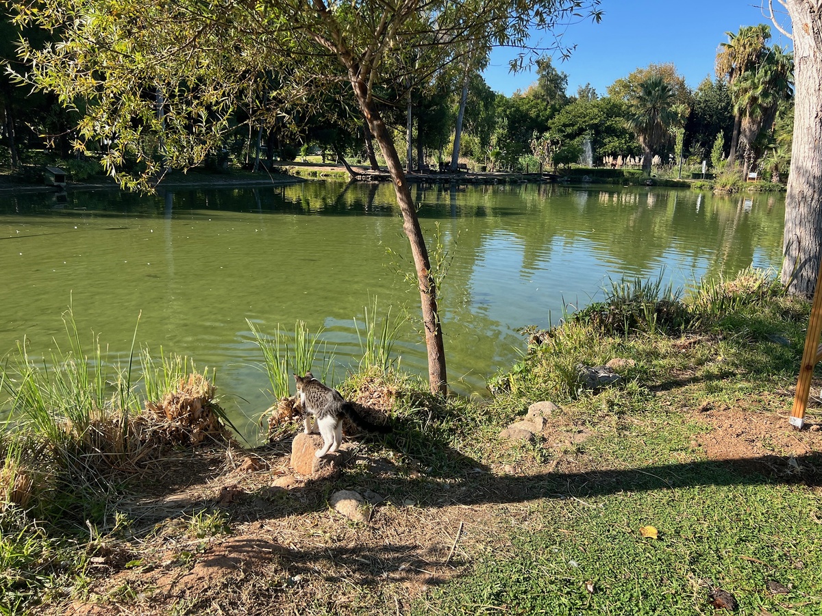 Анталия изнутри | Antalya Inside