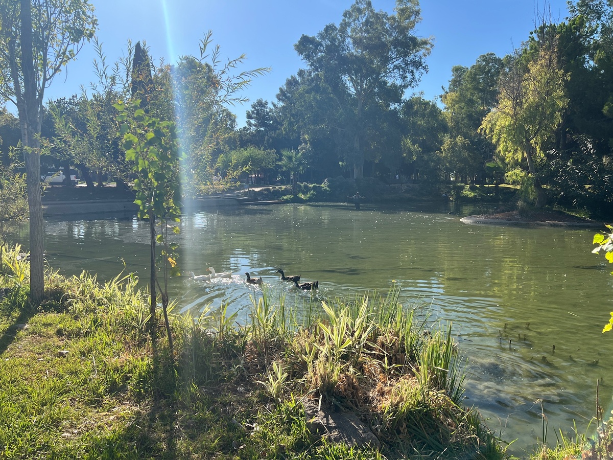 Анталия изнутри | Antalya Inside