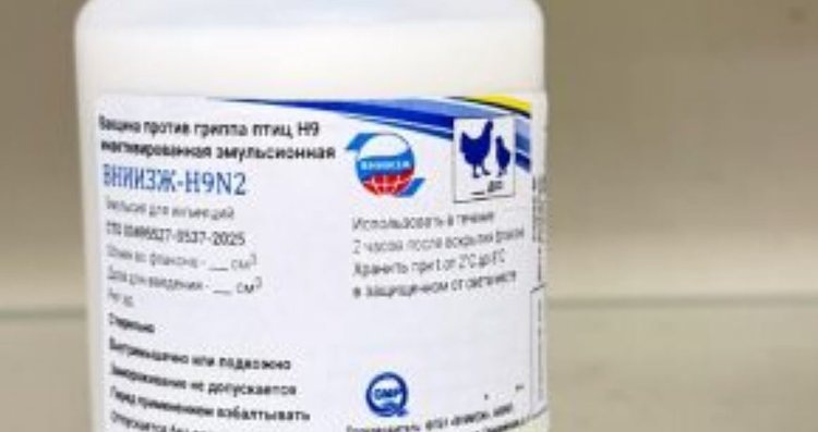    Фото: Россельхознадзор РФ.